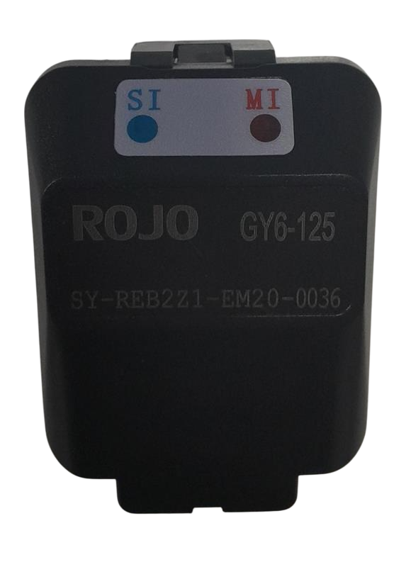 RS6 ENJEKSIYON-ECU